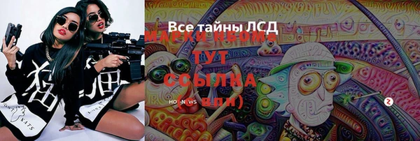гидра Аркадак