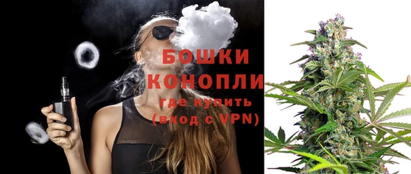 гидра Аркадак